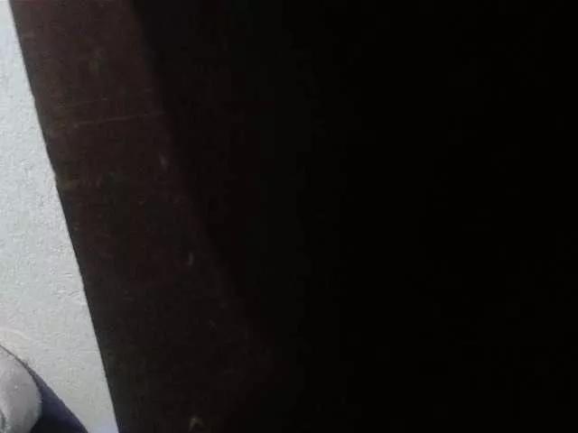 -lisa-n-greg- on BongaCams 