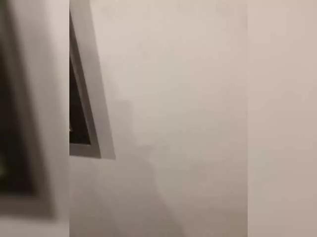 -Megalodon1- on BongaCams 