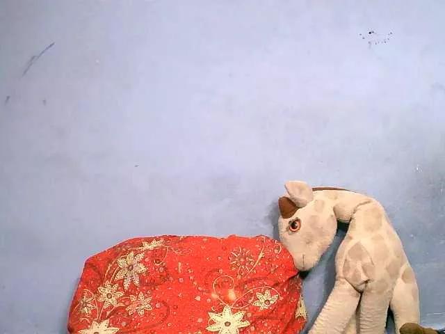 Elisahh on BongaCams 