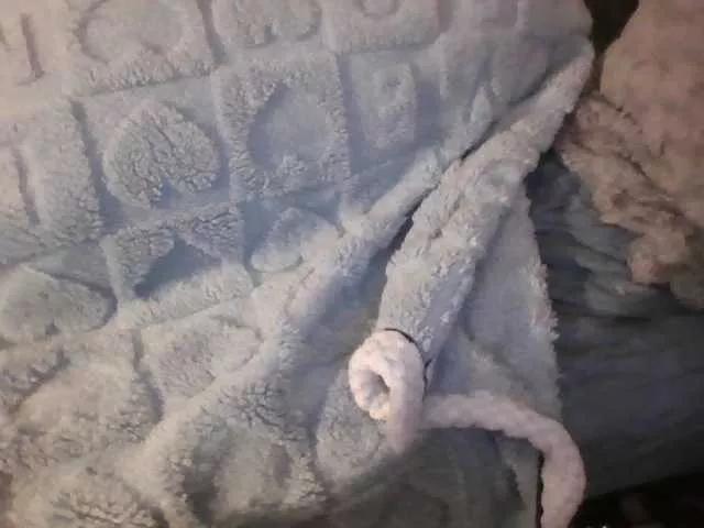 latexshantie on BongaCams 