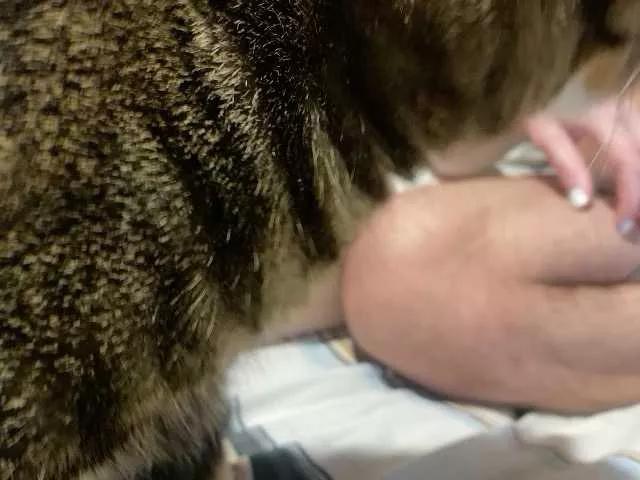 LuxuryGirlPrim on BongaCams 