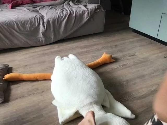 Redfoxygirl on BongaCams 