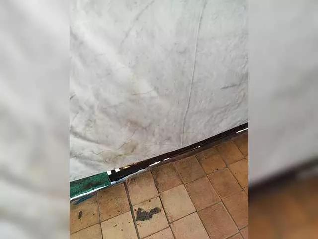 Sex2Sexa on BongaCams 