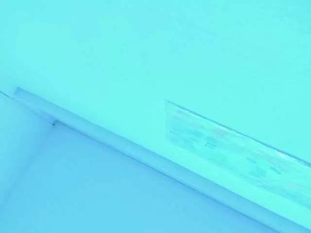 violetsmith on BongaCams 