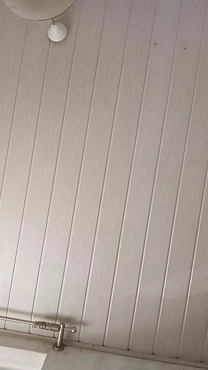 Offline alterwixerxxx on Cam4