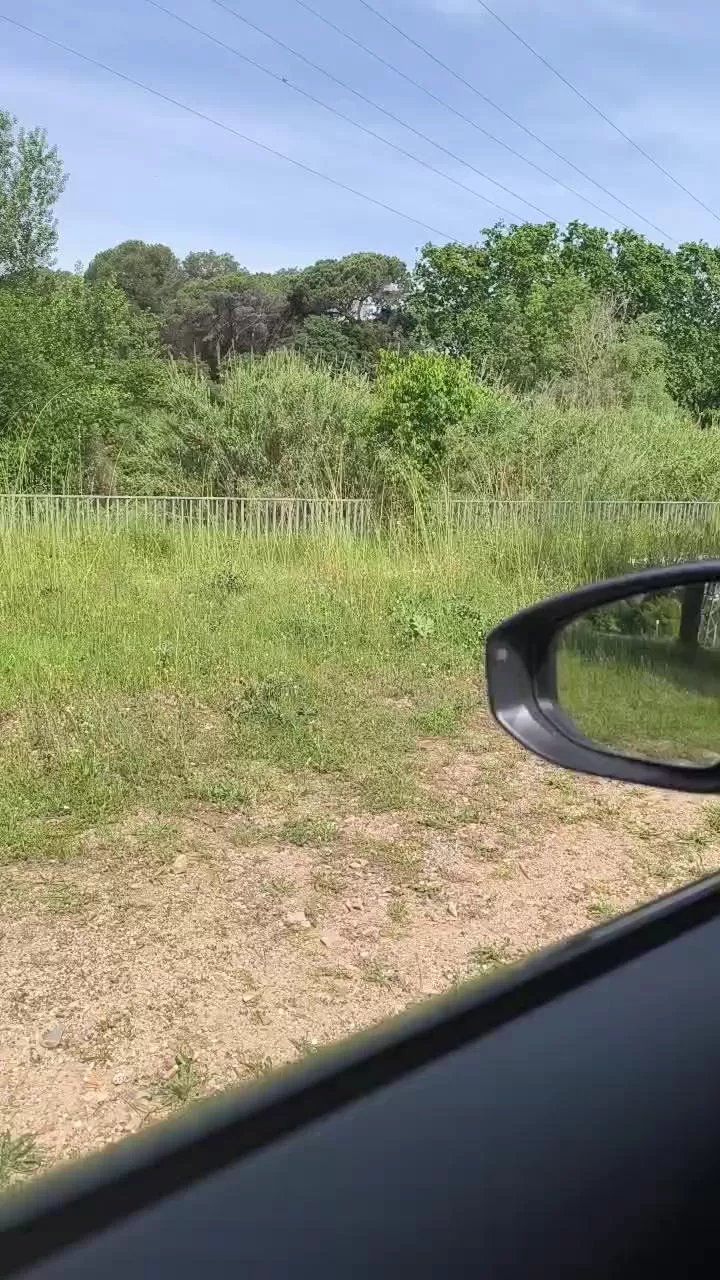 Offline Bcnees on Cam4