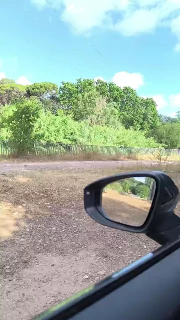 Offline Bcnees on Cam4