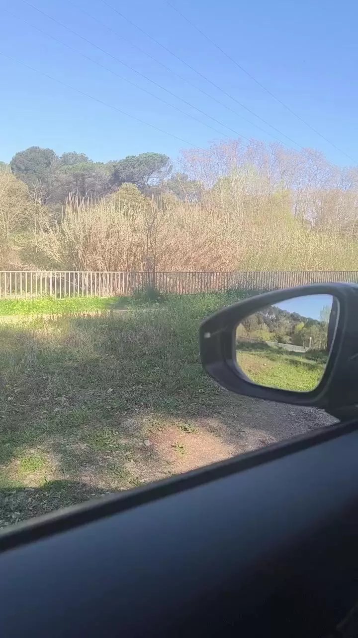 Offline Bcnees on Cam4