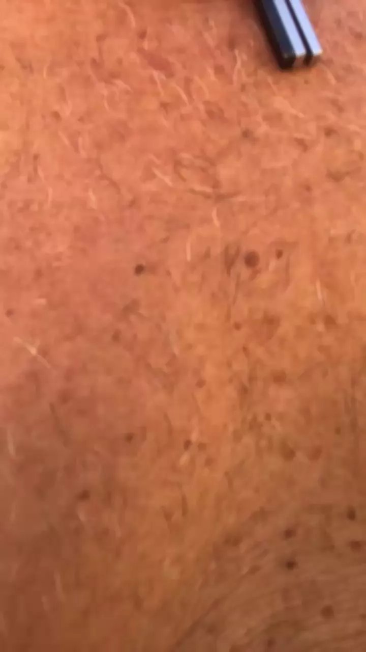 Offline bergamo13 on Cam4