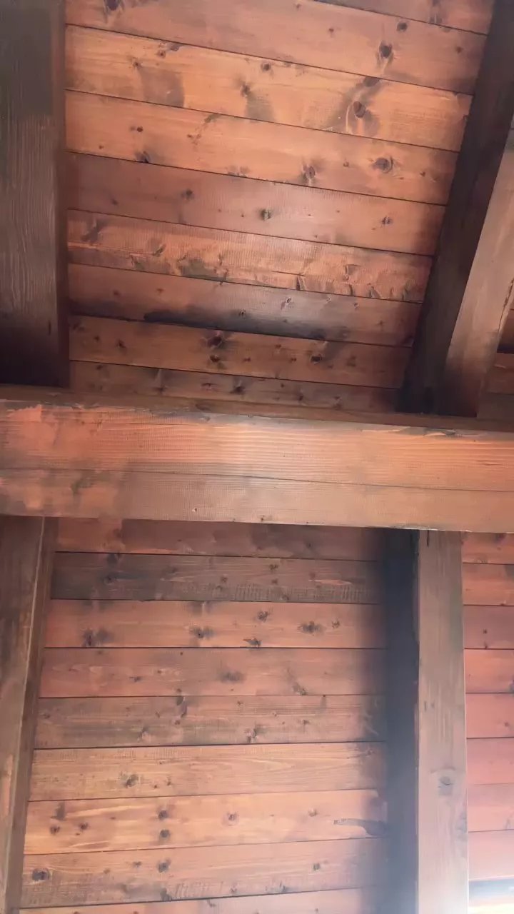 Offline bolognese_fun on Cam4