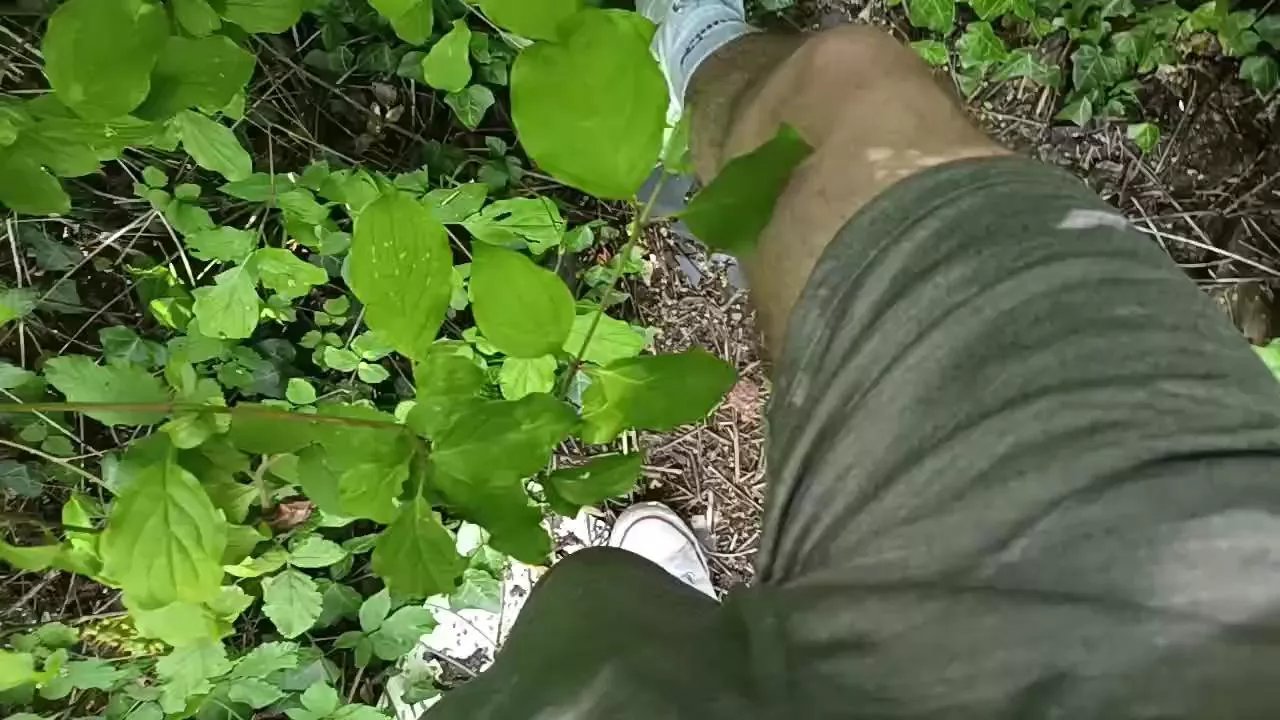 Offline FrenchDonneLoad on Cam4