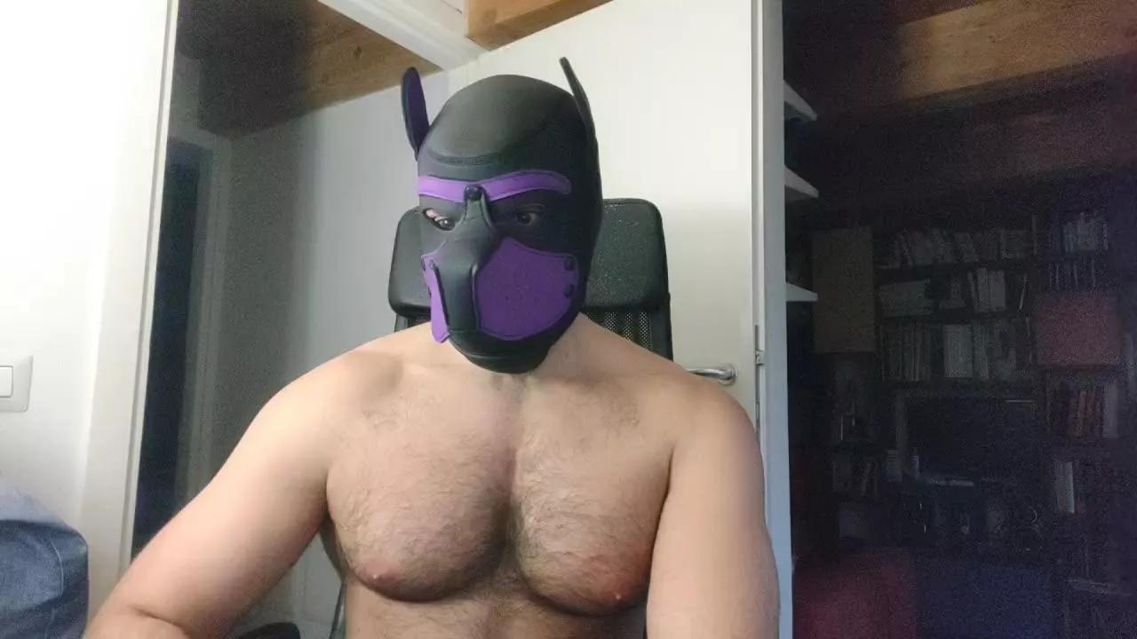 Hairypuppy82 on Cam4 