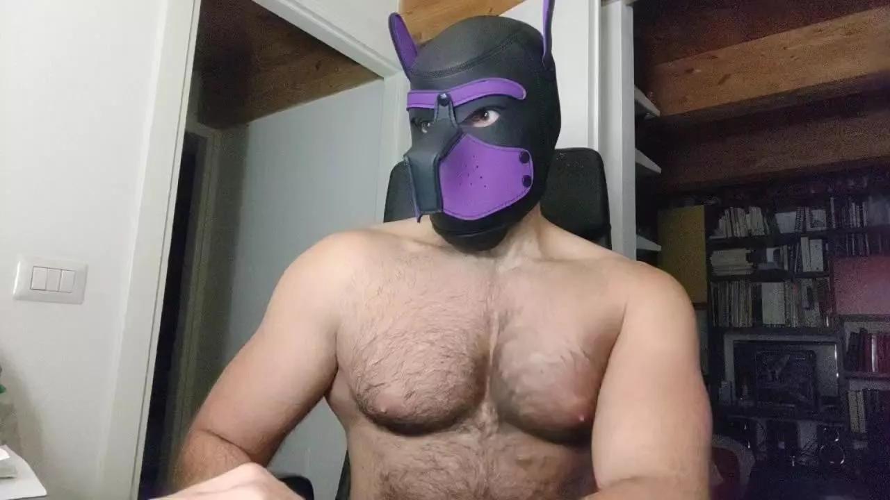 Hairypuppy82 on Cam4 