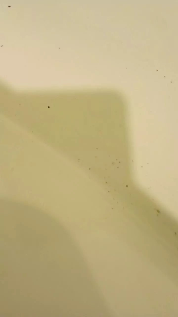 Offline lokohelios1 on Cam4