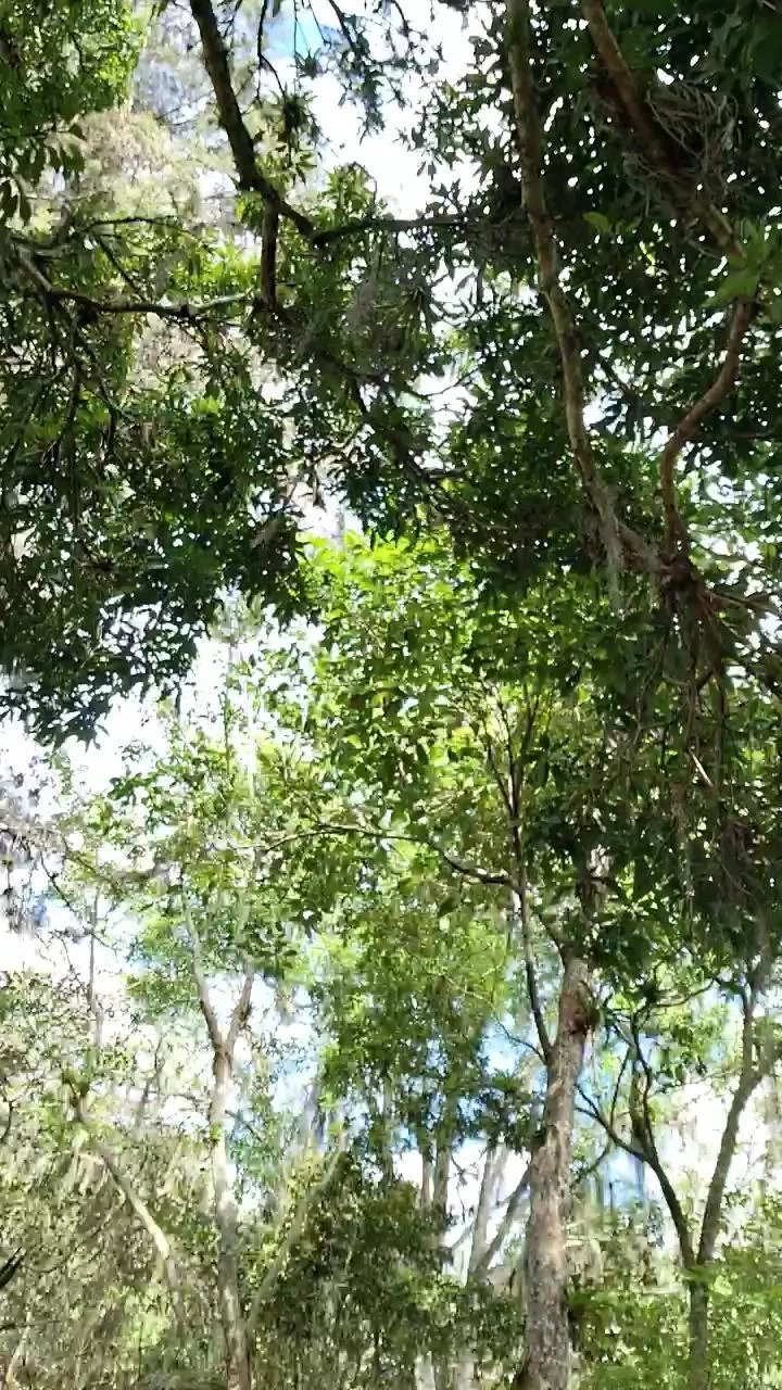 Offline Lust_333 on Cam4