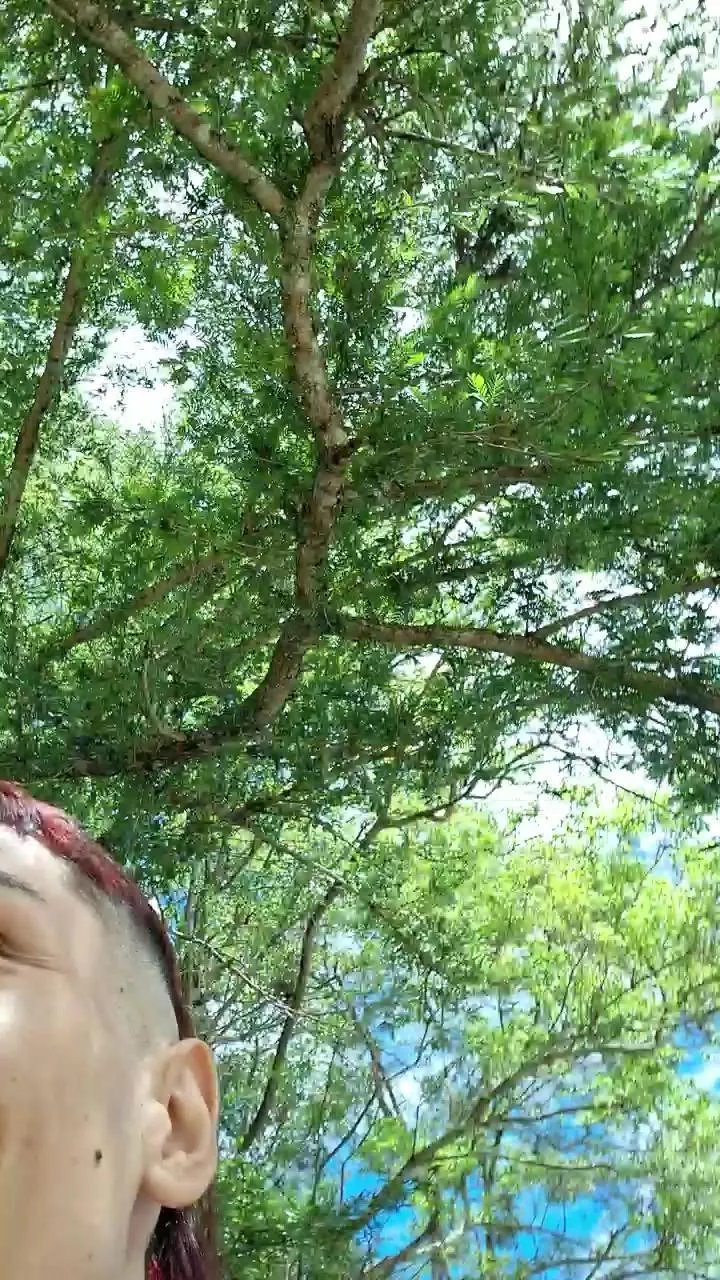 Offline Lust_333 on Cam4