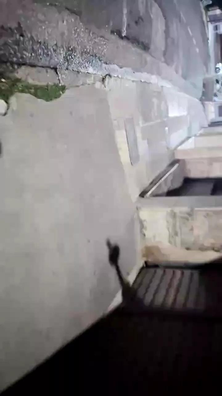 MALOKATATUAD98 on Cam4 