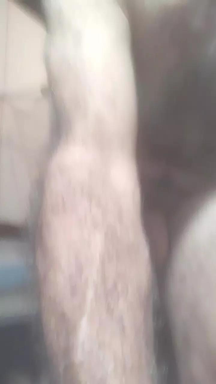 Nachobahia on Cam4 