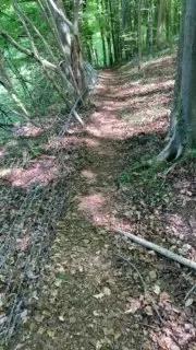 Outandabout on Cam4 