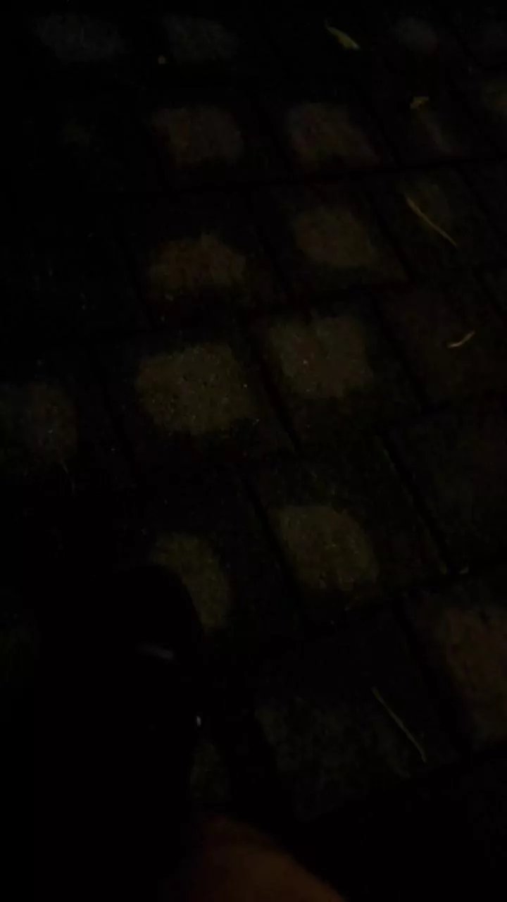 Offline outdoorbeast on Cam4