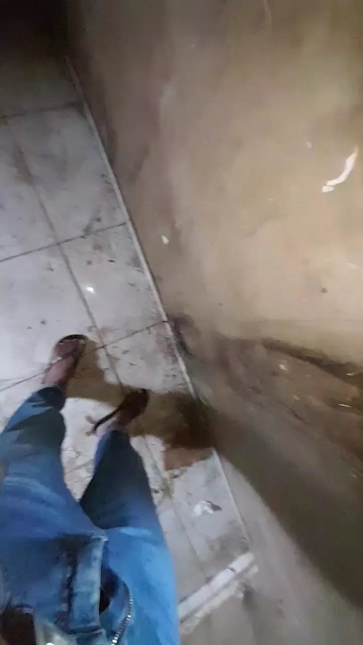 Offline picaitz1 on Cam4