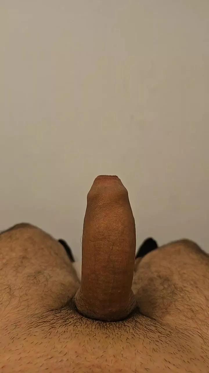 Pololo2025 on Cam4 
