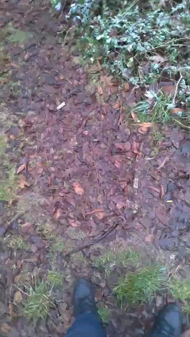 Offline publicexib1 on Cam4