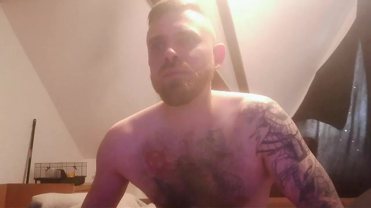 Offline tedstm on Cam4