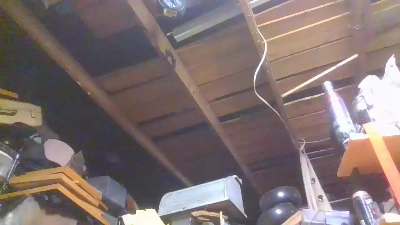 thompson3 on Cam4 