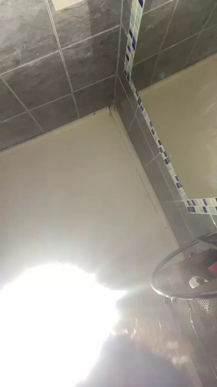 Offline thudiablita on Cam4