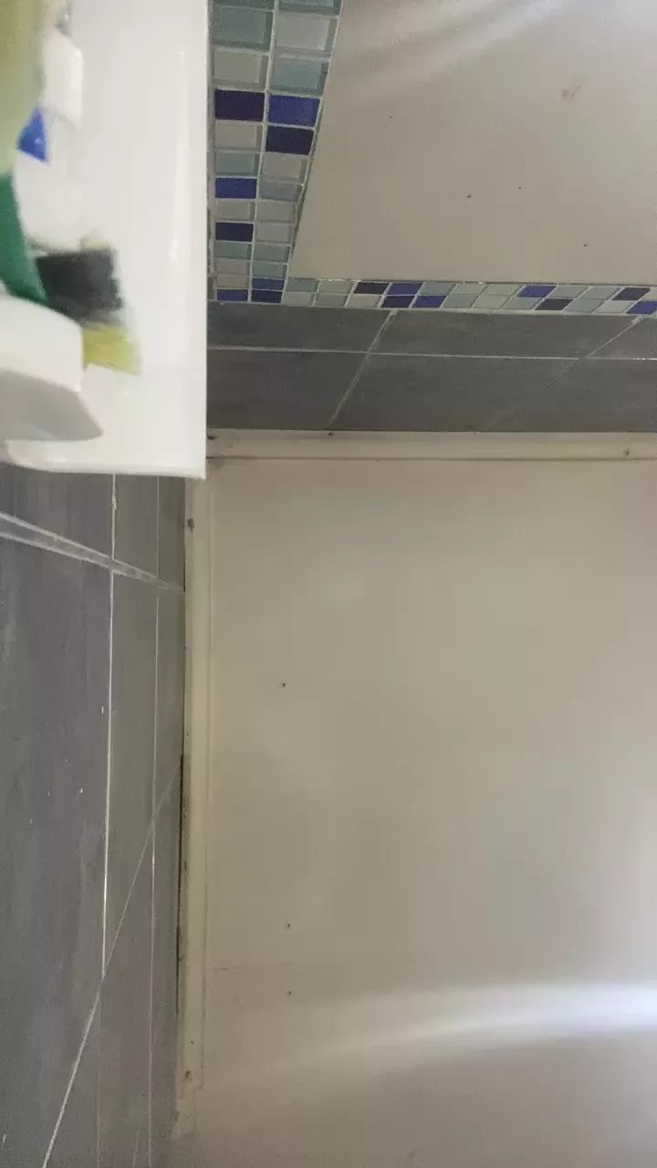 Offline thudiablita on Cam4