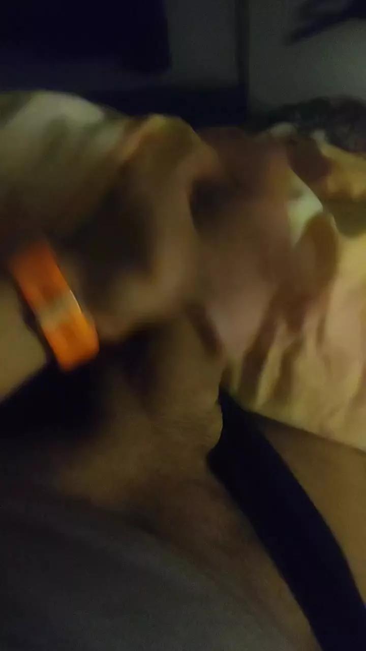 Vittosto on Cam4 