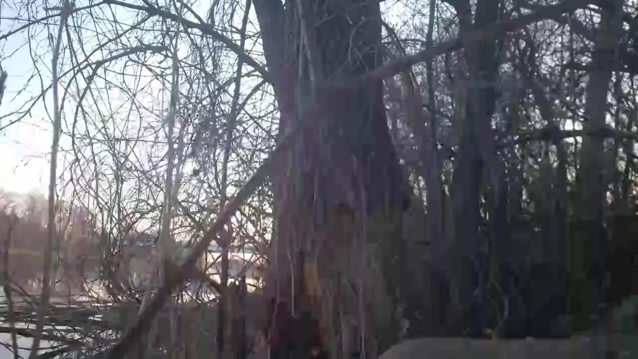xxxstroke on Cam4 