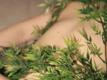 Freechat toshimori on Chaturbate