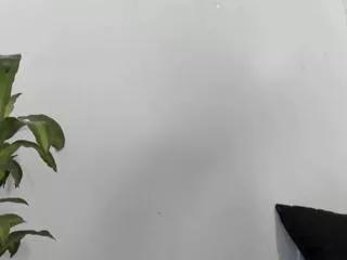 teresa_more on Flirt4Free 