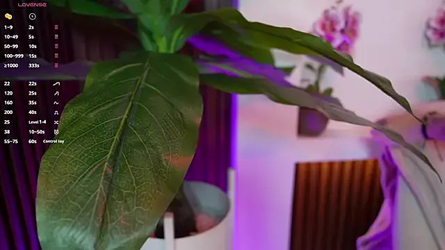 Freechat Anybuny on StripChat