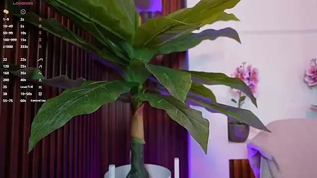 Freechat Anybuny on StripChat