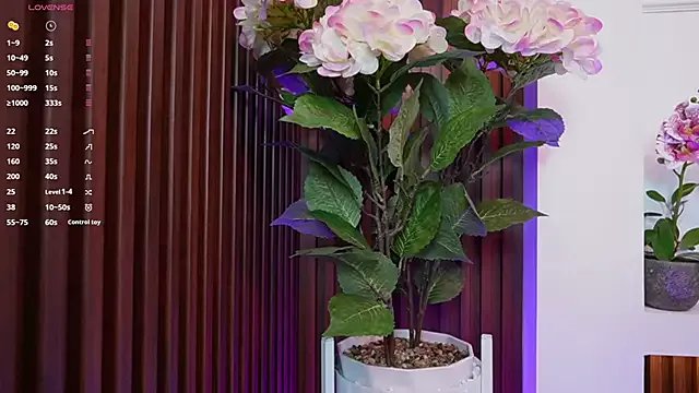 Freechat Anybuny on StripChat