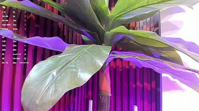 Freechat Anybuny on StripChat