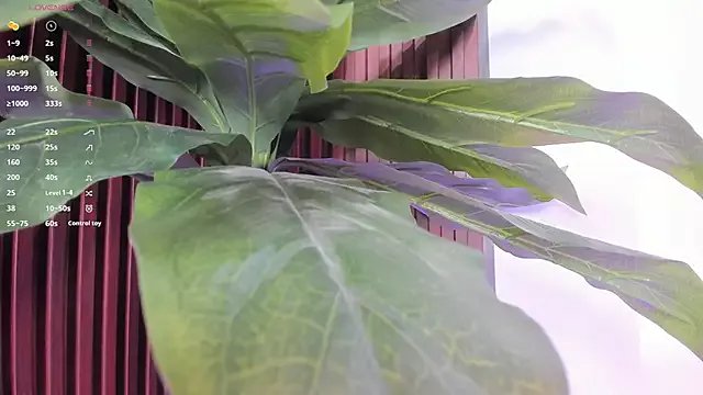 Freechat Anybuny on StripChat