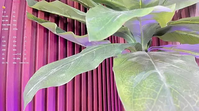 Freechat Anybuny on StripChat