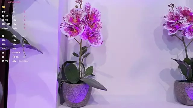 Freechat Anybuny on StripChat