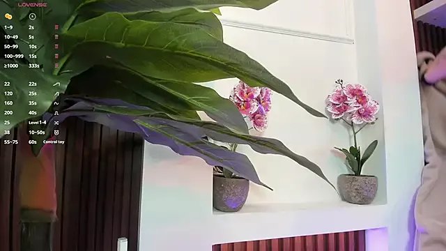 Freechat Anybuny on StripChat