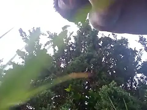 Freechat Armyexhibitionistvet on StripChat