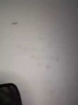 Freechat DulceLenns on StripChat