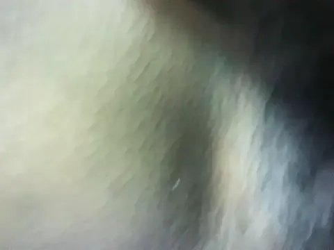 Freechat Sharlene777 on StripChat